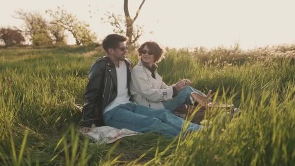 Stilvolles Paar Gläsern Sitzt Auf Picknickdecke Auf Grünem Gras Meer — Stockvideo