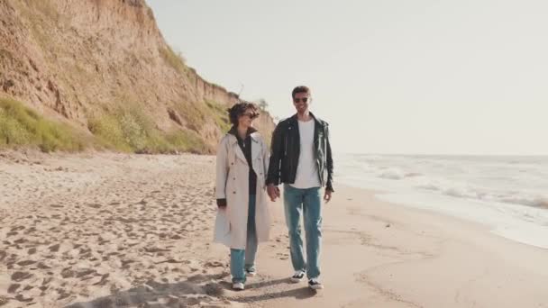 Happy Couple Talking Holding Hands While Walking Sea Coast — Stock Video