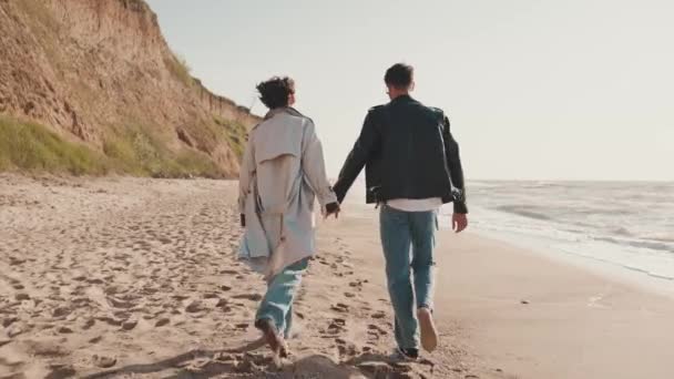 Back View Couple Talking Holding Hands While Walking Sea Coast — Stock Video