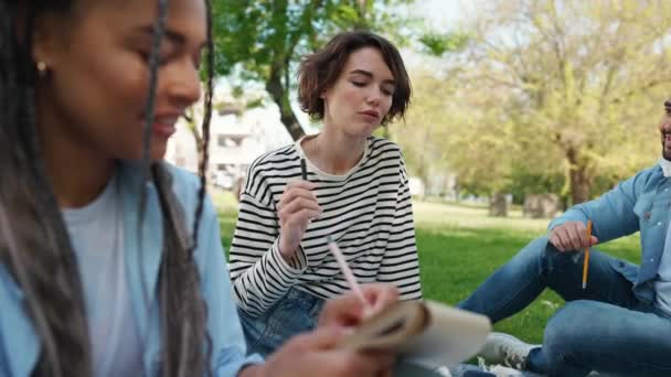Schöne Multinationale Freunde Lernen Und Reden Park Beim Picknick — Stockvideo
