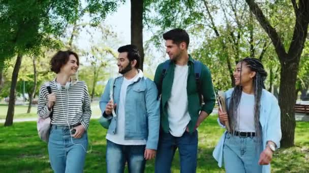 Felice Multiculturale Giovani Amici Studenti Parlando Passeggiando Nel Parco — Video Stock