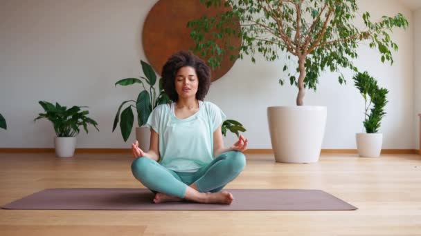 Söt Afrikansk Lockig Kvinna Mediterar Yogamattan Hemma Hälsosam Livsstil Idrott — Stockvideo