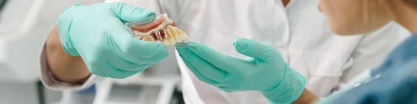 Zahnärztin Aus Europa Zeigt Ihrer Patientin Zahnklinik Zähne Imitiert — Stockfoto