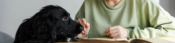 Happy Brunette Young Woman Petting Her Dog While Studying Home — Stock Photo, Image