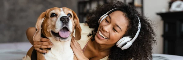 stock image Young happy african woman in casual wear with beagle puppy at home, relaxing on bed in headphones