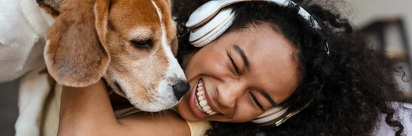 Young happy african woman in casual wear with beagle puppy at home, relaxing on bed in headphones laughing