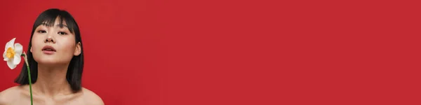 Азійська Безсоромна Жінка Яка Дивиться Камеру Малюючи Нарцисів Ізольованих Червоному — стокове фото