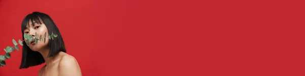 Азійська Безсоромна Жінка Яка Дивиться Камеру Малюючи Евкаліптом Ізольованим Червоному — стокове фото