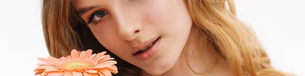 Halbnackte Ingwerfrau Posiert Mit Gerbera Blume Auf Weißem Hintergrund — Stockfoto