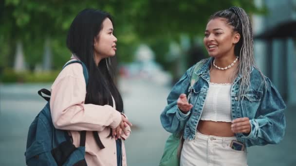 Des Amies Souriantes Multiculturelles Parlent Dans Rue Été — Video
