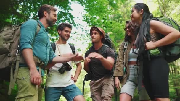 Güzel Sırt Çantalı Arkadaşlar Ormandaki Dağ Nehrinin Kıyısındaki Herkes Için — Stok video