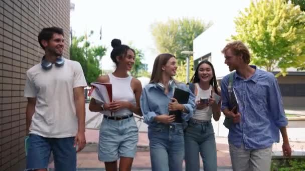 陽気な多国籍の若い学生のグループ 夏の大学の近くを話して歩く — ストック動画