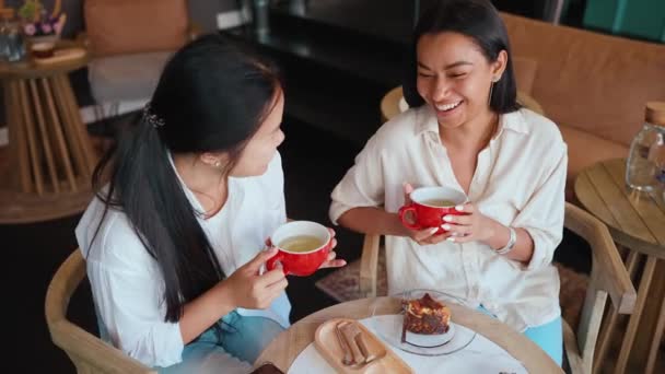 Funny Multicultural Female Friends Meeting Cup Tea Cafe — Stok Video