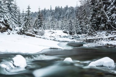 Wild river in snow covered forest, nature winter scenery.