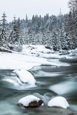 Winter landscape, snowy trees in forest and frozen river.
