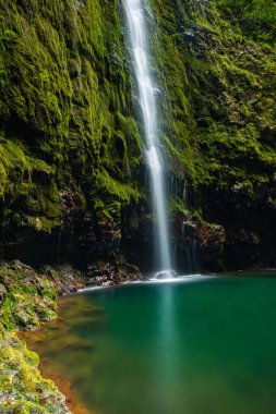 Madeira Portekiz adasında Caldeirao Verde doğal şelalesi