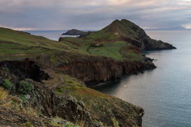 Ponta de Sao Lourenco, Madeira, Portekiz. Yeşil kayalıkların üzerinde gün doğumu ve Atlentic Okyanusu 'nda bahar çiçekleri.