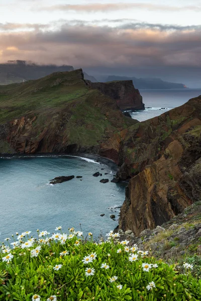ポルトガルのマデイラ島 ポンタ ルレンコ 大西洋の緑の崖と春の花の上の日の出 — ストック写真