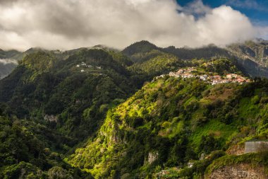 Yeşil tepeleri ve dağları olan Madeira manzarası Ribeiro Frio köyü. Madeira, Portekiz 'de vahşi doğa