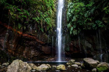 Portekiz 'in Medeira adası Rabacal' da 25 Fontes Şelalesi ve pınarı.