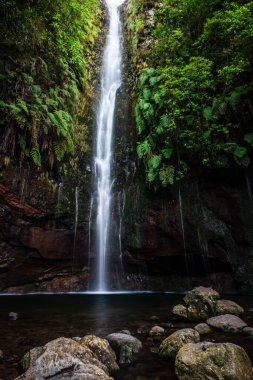 Portekiz 'in Medeira adası Rabacal' da 25 Fontes Şelalesi ve pınarı.