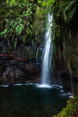 Portekiz 'in Medeira adası Rabacal' da 25 Fontes Şelalesi ve pınarı.
