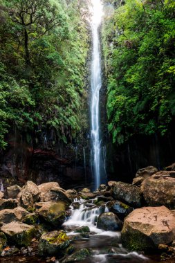 Portekiz 'in Medeira adası Rabacal' da 25 Fontes Şelalesi ve pınarı.