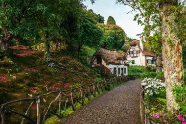 Santana, Madeira 'daki Queimadas Orman Parkı' nda Caldeirao Verde Şelalesi yakınlarında, Portekiz.
