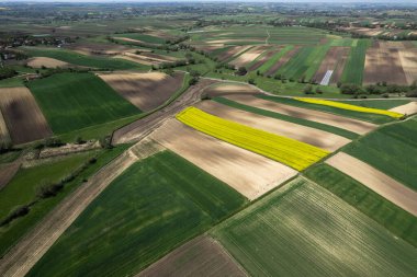 Tarım arazilerinde mahsul tarlalarında renkli desenler, havadan görünüm, drone fotoğraf