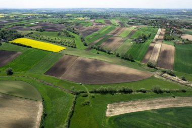 Tarım arazilerinde mahsul tarlalarında renkli desenler, havadan görünüm, drone fotoğraf