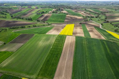 Tarım arazilerinde mahsul tarlalarında renkli desenler, havadan görünüm, drone fotoğraf
