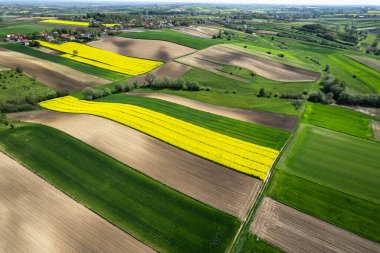 Tarım arazilerinde mahsul tarlalarında renkli desenler, havadan görünüm, drone fotoğraf