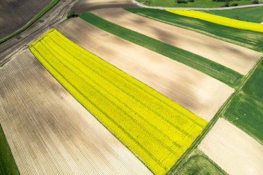 Tarım arazilerinde mahsul tarlalarında renkli desenler, havadan görünüm, drone fotoğraf