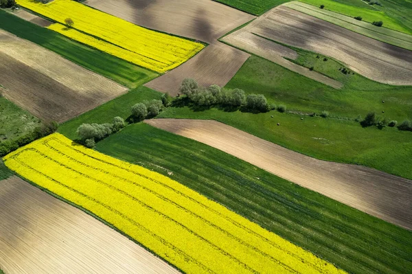 Terreno Agricolo Colorato Campagna Panoramica Vista Aerea Drone — Foto Stock