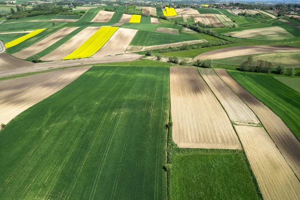 Padrões Coloridos Campos Cultivo Terras Agrícolas Vista Aérea Drone Foto — Fotografia de Stock