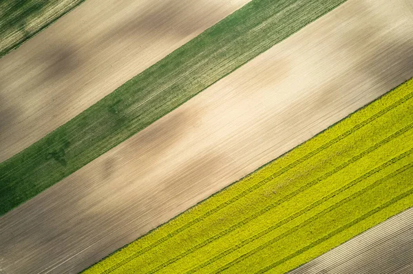 Renkli Tarım Alanı Manzaralı Kırsal Bölge Hava Aracı Görünümü — Stok fotoğraf