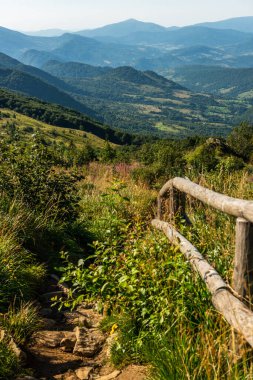 Yazın Bieszczady Dağları 'nda, Karpatlar' da, Polonya 'da vahşi doğada ve manzaralı doğada gezintiye çıkmak.