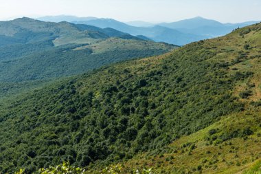 Yazın Bieszczady Dağları, Karpatlar, Polonya 'da vahşi doğa ve manzara ve alp manzarası.