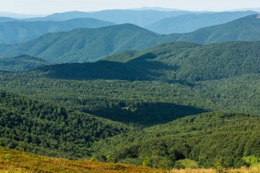 Yazın Bieszczady Dağları, Karpatlar, Polonya 'da vahşi doğa ve manzara ve alp manzarası.