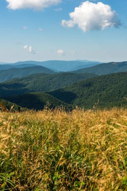 Yazın Bieszczady Dağları, Karpatlar, Polonya 'da vahşi doğa ve manzara ve alp manzarası.