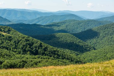 Yazın Bieszczady Dağları, Karpatlar, Polonya 'da vahşi doğa ve manzara ve alp manzarası.