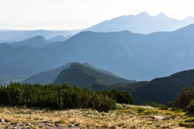 Polonya 'nın Tatra Dağları' ndaki manzaralı dağ manzarası yaz gündoğumunda.