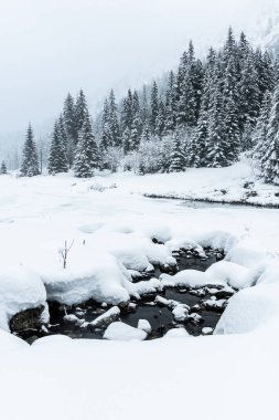 Polonya 'nın Tatra Dağları' ndaki Morskie Oko 'da kış manzarası.