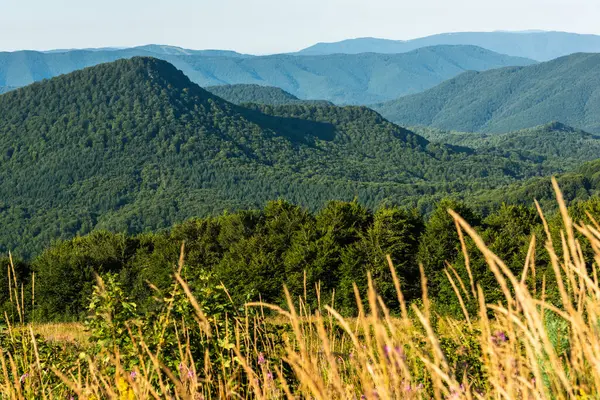 Yazın Bieszczady Dağları, Karpatlar, Polonya 'da vahşi doğa ve manzara ve alp manzarası.