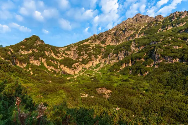 Yaz mevsiminde Polonya 'nın Tatra Dağları' nda Alp izleri. Manzara ve doğa..