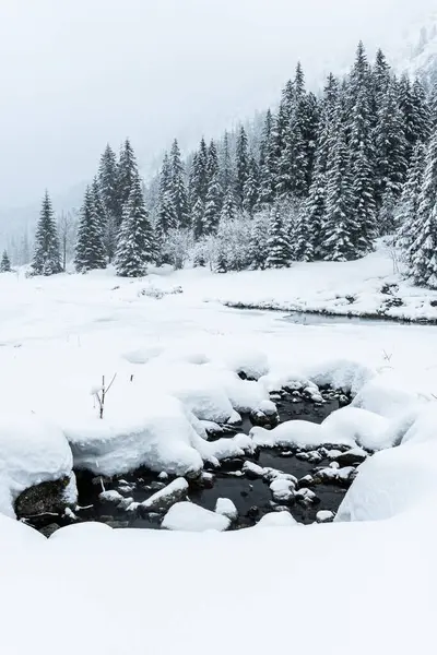 Vintersnölandskap Morskie Oko Tatrabergen Polen — Stockfoto