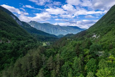 İtalya 'nın Predil Geçidi' ndeki yeşil ormanlı Alp manzarası. Hava aracı görünümü.