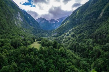 Slovenya 'nın Soca Vadisi' ndeki yeşil ormanlı Alp manzarası. Hava aracı görünümü