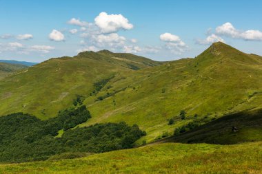 Yazın Bieszczady Dağları, Karpatlar, Polonya 'da vahşi doğa ve manzara ve alp manzarası.