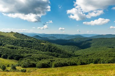 Yazın Bieszczady Dağları, Karpatlar, Polonya 'da vahşi doğa ve manzara ve alp manzarası.